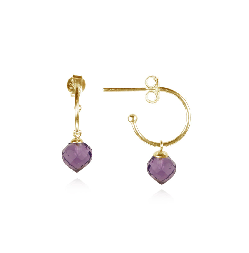 Small shop amethyst earrings