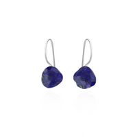Mismatched Fish Hook Earrings