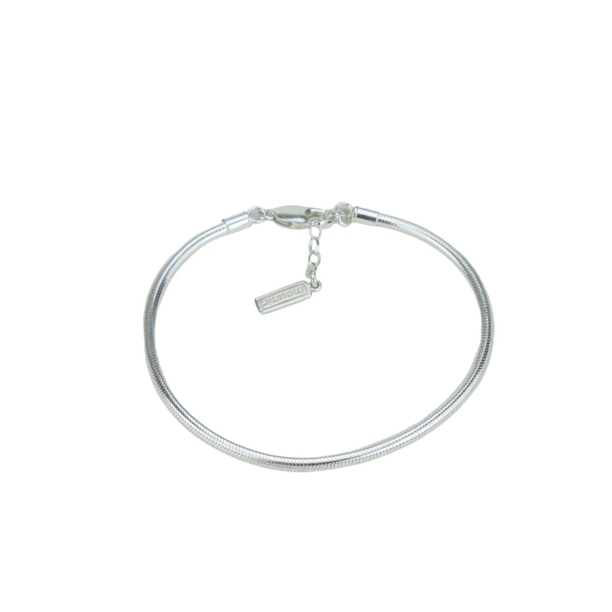 Snake Chain Bracelet
