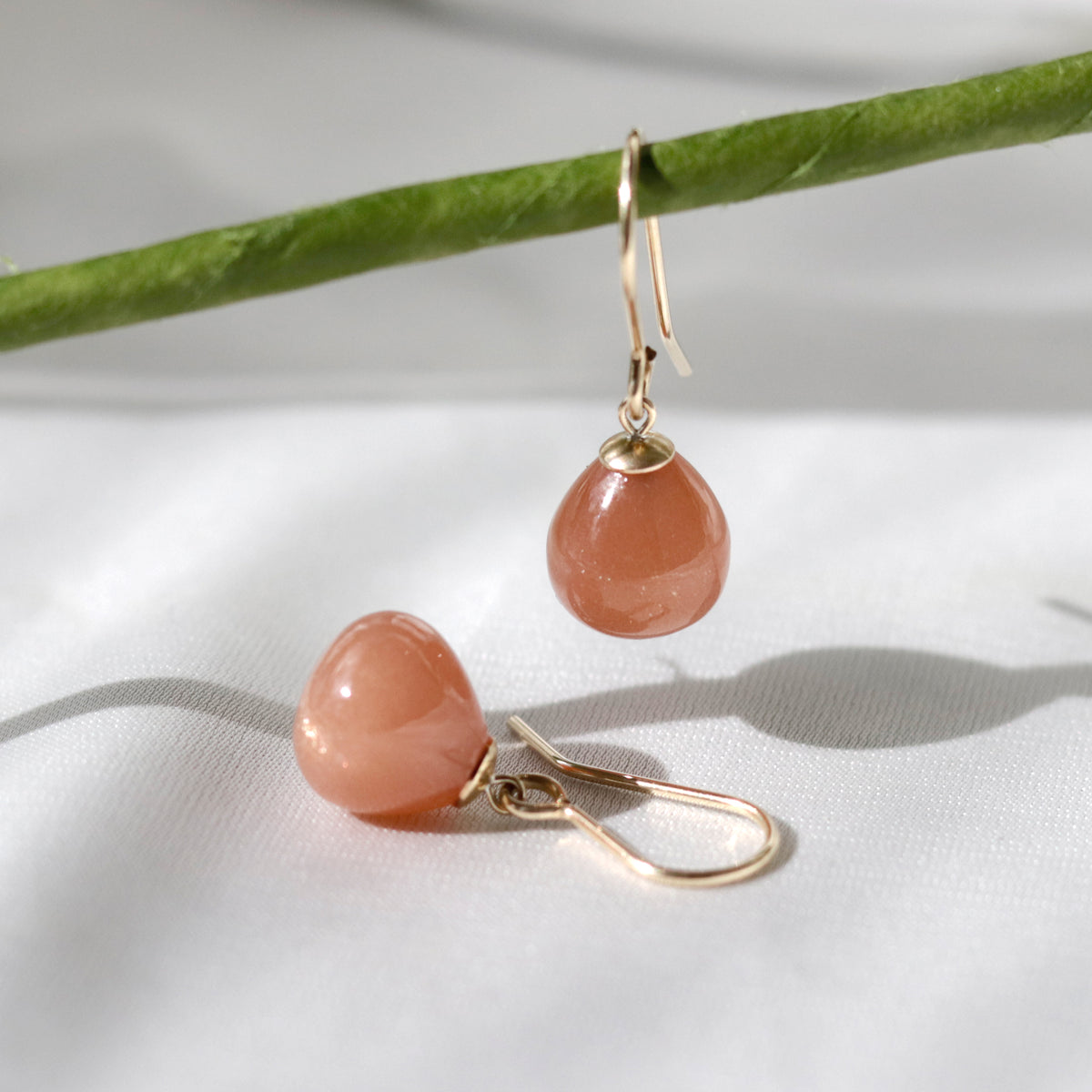 Smooth Drop Fish Hook Earrings