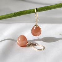 Smooth Drop Fish Hook Earrings