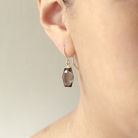 Geometric Gemstone Fish Hook Earrings